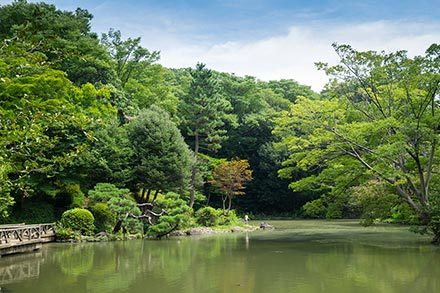 有栖川記念公園